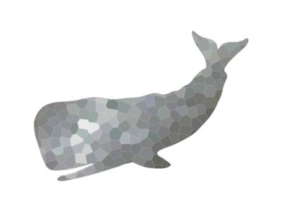 Whale